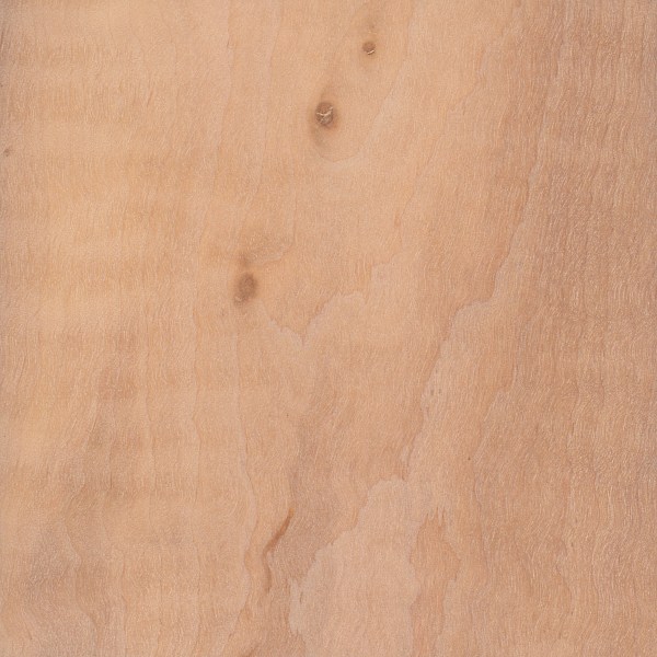 European Alder The Wood Database Lumber Identification (Hardwood)