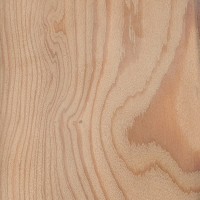 Abbildung des Materials 'European Larch'