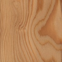 European Larch (sealed)