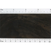 Gaboon Ebony (endgrain)