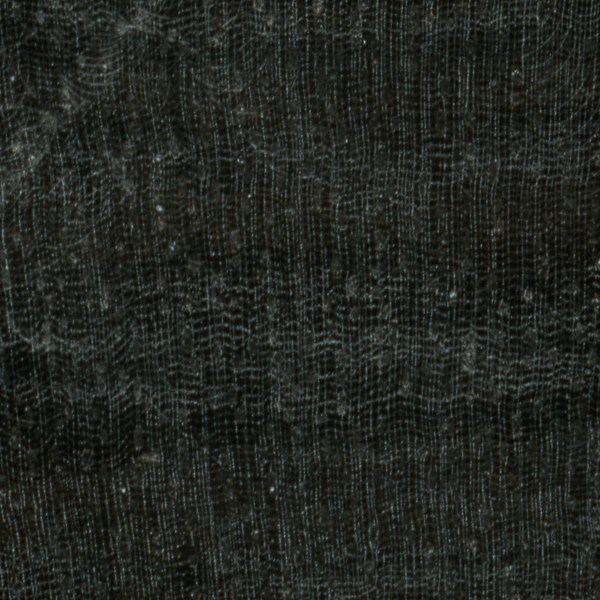 Mun Ebony  The Wood Database (Hardwood)