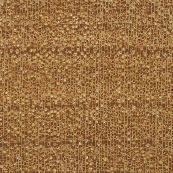 Garapa The Wood Database Lumber Identification (Hardwood)