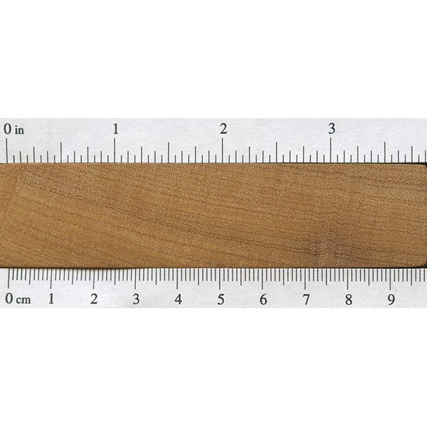 Garapa The Wood Database Lumber Identification (Hardwood)