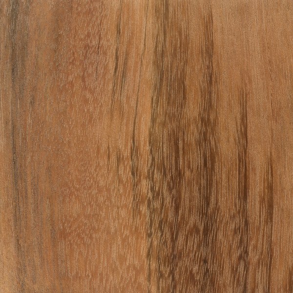 Goncalo Alves Wood