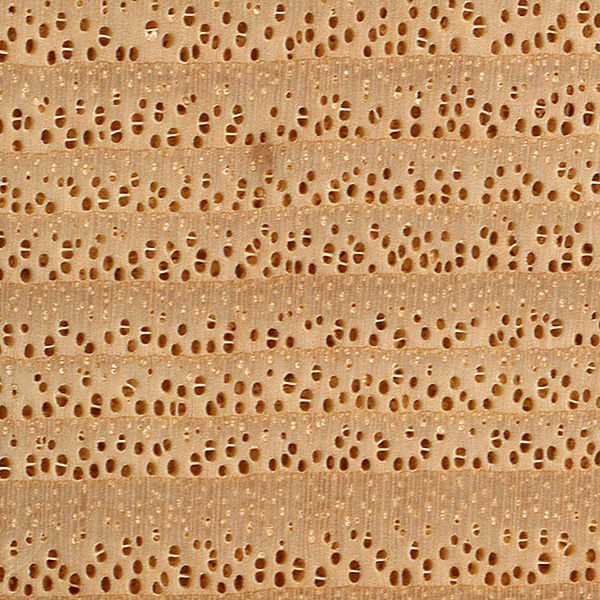 Green Ash Tree Uses