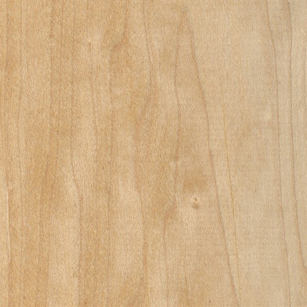 Hard Maple The Wood Database Lumber Identification