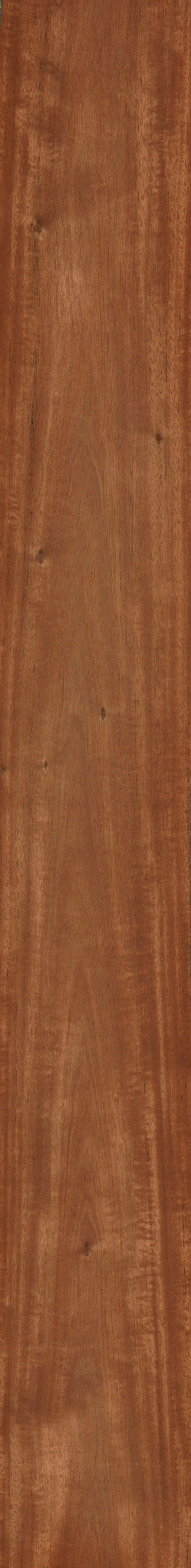Honduran Mahogany The Wood Database Lumber Identification Hardwood