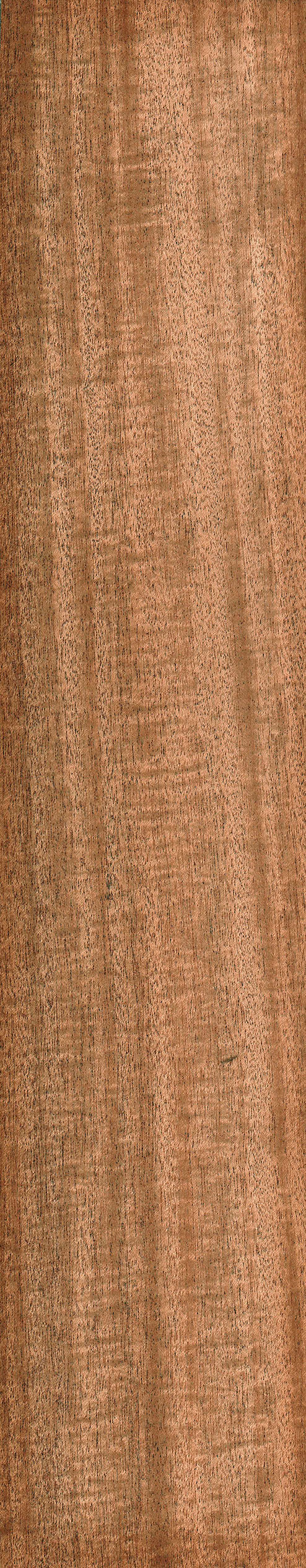 Honduran Mahogany | The Wood Database - Lumber Identification (Hardwood)