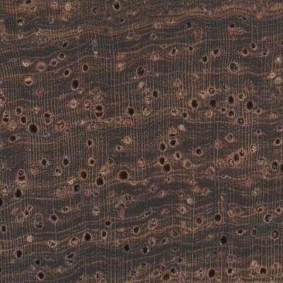 Honduran Rosewood (endgrain 10x)