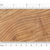 Honey Locust (endgrain)