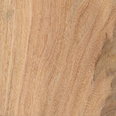 Honey Locust | The Wood Database - Lumber Identification (Hardwood)