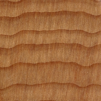 Huon Pine (endgrain 10x)