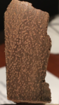 image8.png