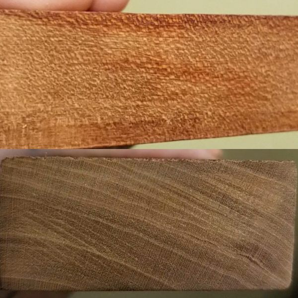 Wood Identification Guide | The Wood Database