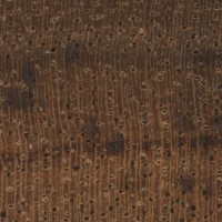 Indian Anjan (endgrain 10x)