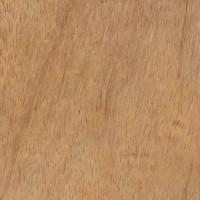 Iroko (sealed)