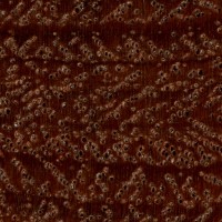 Jarrah (endgrain 10x)