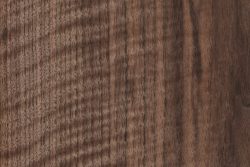 Black Walnut  The Wood Database (Hardwood)