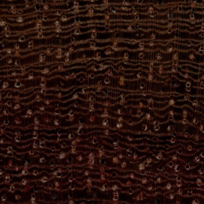 Katalox (endgrain 10x)