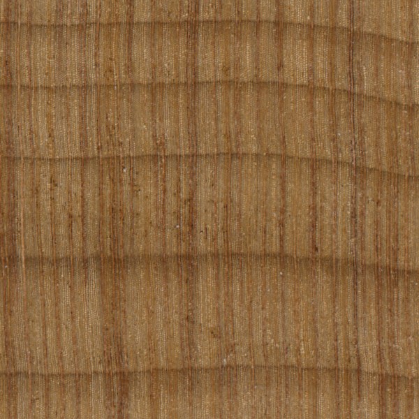 Kauri The Wood Database Lumber Identification (Softwood)
