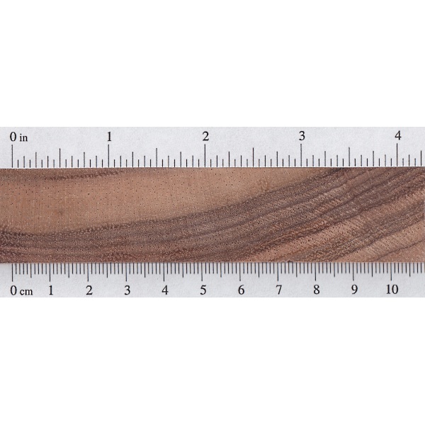 Koa The Wood Database Lumber Identification (Hardwood)