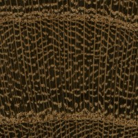 Laburnum (endgrain 10x)