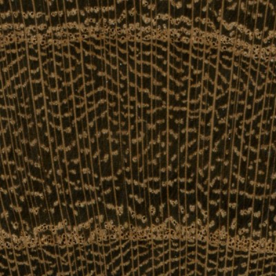 Laburnum | The Wood Database (Hardwood)