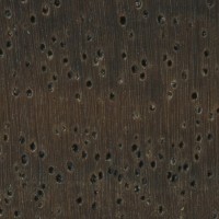 Leadwood (endgrain 10x)