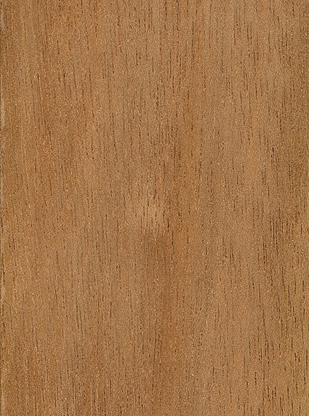 Banyan Geavanceerd Te Light Red Meranti | The Wood Database (Hardwood)