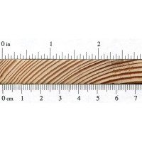 Longleaf Pine (endgrain)