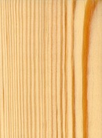 Longleaf Pine (sealed)