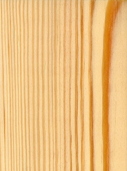 Caribbean Pine | The Wood Database - Lumber Identification (Softwood)