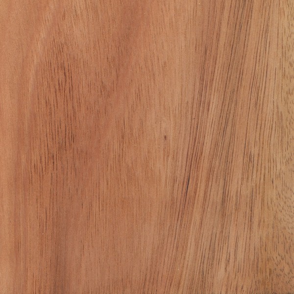 Lyptus The Wood Database Hardwood