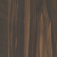 Mun Ebony  The Wood Database (Hardwood)