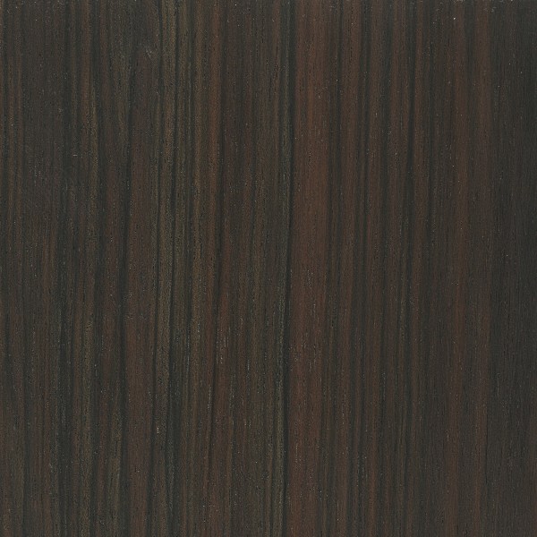 Macassar Ebony  The Wood Database (Hardwood)