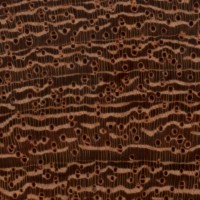 Machiche (endgrain 10x)