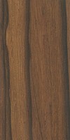 Madagascar Rosewood (Dalbergia baronii)