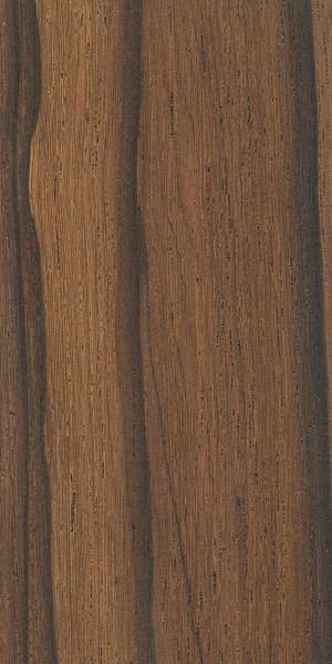 Madagascar Rosewood (Dalbergia baronii)