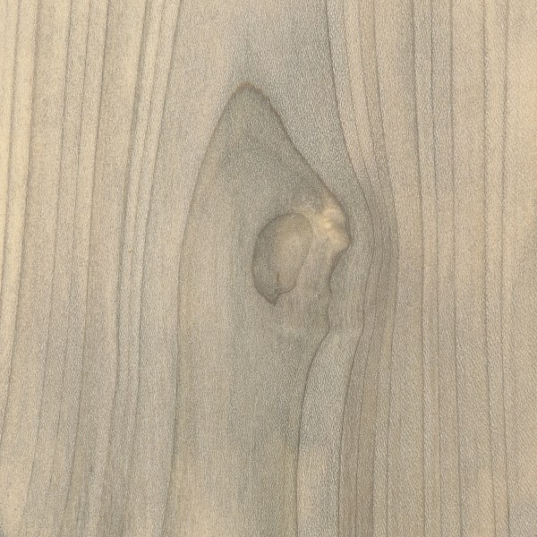 Found Wooden Spools - Magnolia