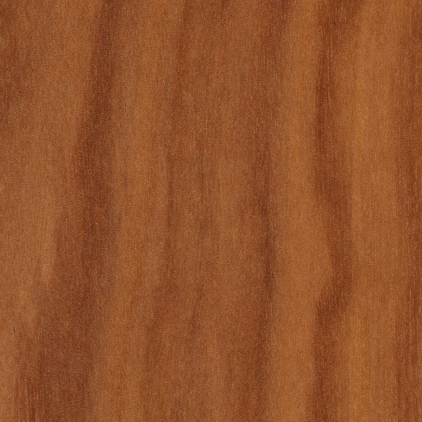 Makore The Wood Database Lumber Identification (Hardwood)
