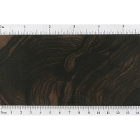 Malaysian Blackwood (endgrain)