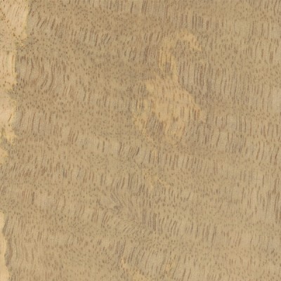 Mango | The Wood Database - Lumber Identification (Hardwood)