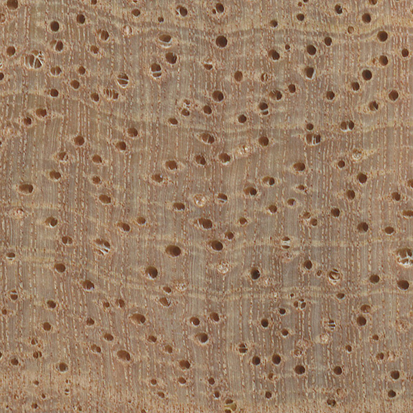 Mango The Wood Database Lumber Identification (Hardwood)