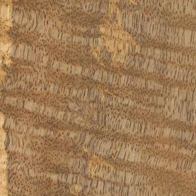 Mango | The Wood Database - Lumber Identification (Hardwood)