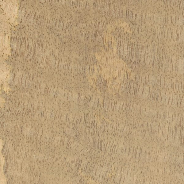 Mango The Wood Database Lumber Identification Hardwood