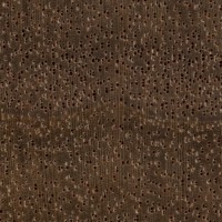 Mansonia (endgrain 10x)