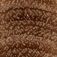 Messmate (endgrain 10x)