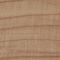 Monterey Cypress (endgrain 10x)