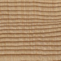 Mountain Hemlock (endgrain 10x)