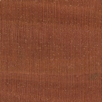 Mountain Mahogany (endgrain 10x)